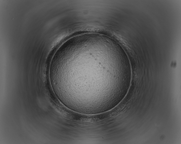 X0000091180679200708231529