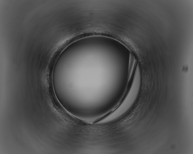 X0000091180680200708231529