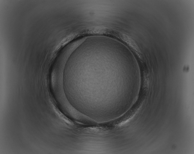X0000091180681200708231529