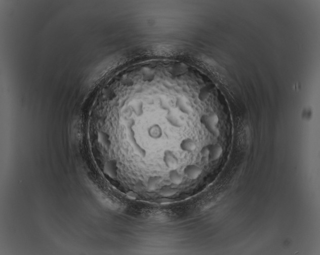 X0000091180683200708231529
