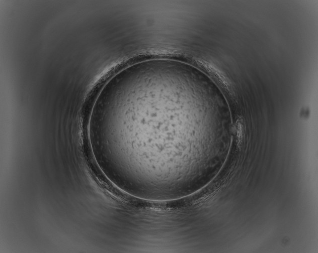 X0000091180684200708231529