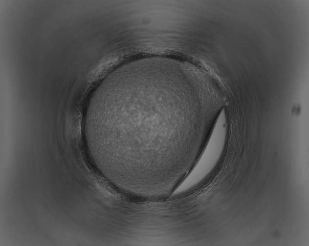 X0000091180685200708231529