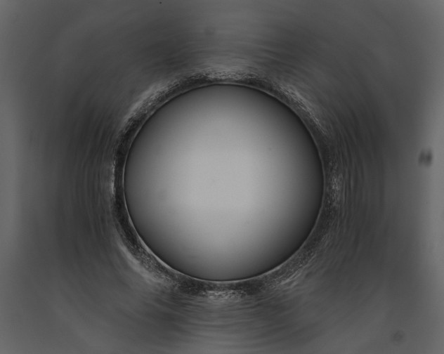 X0000091180686200708231529