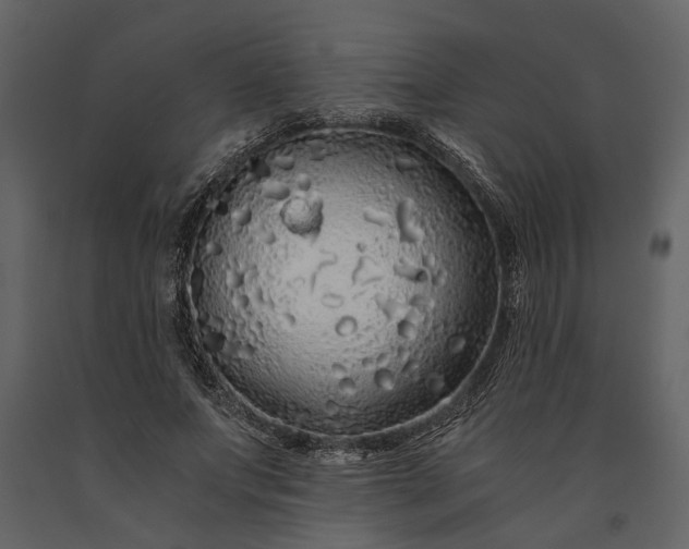 X0000091180687200708231529