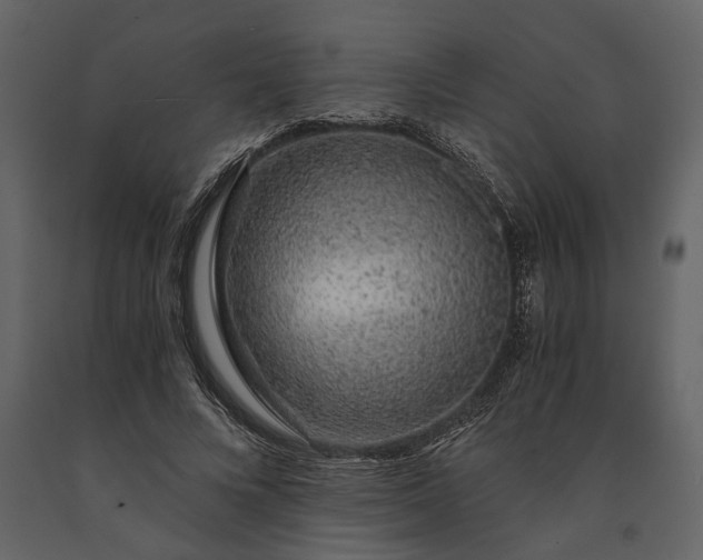 X0000091180688200708231529