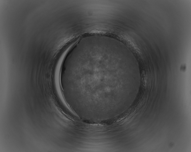 X0000091180692200708231529