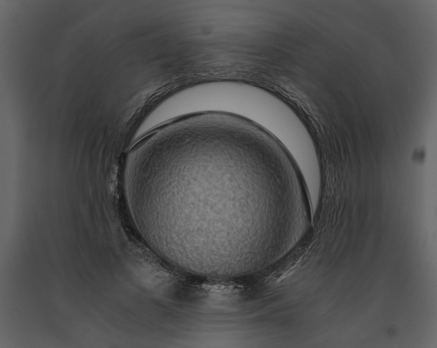 X0000091180693200708231529