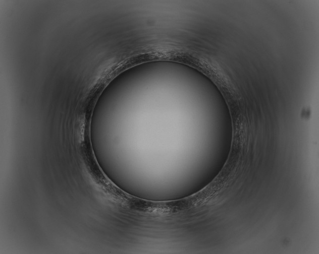X0000091180694200708231529