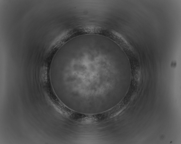 X0000091180696200708231529