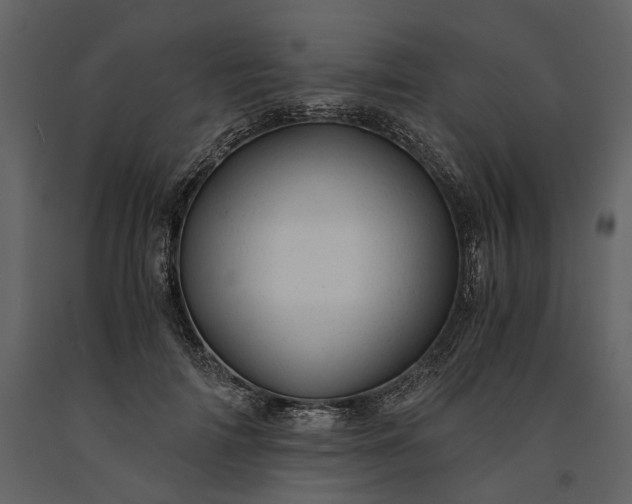 X0000091180698200708231529