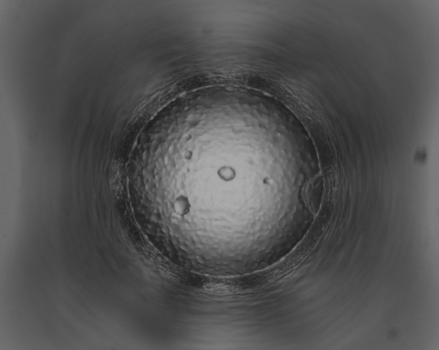 X0000091180699200708231529