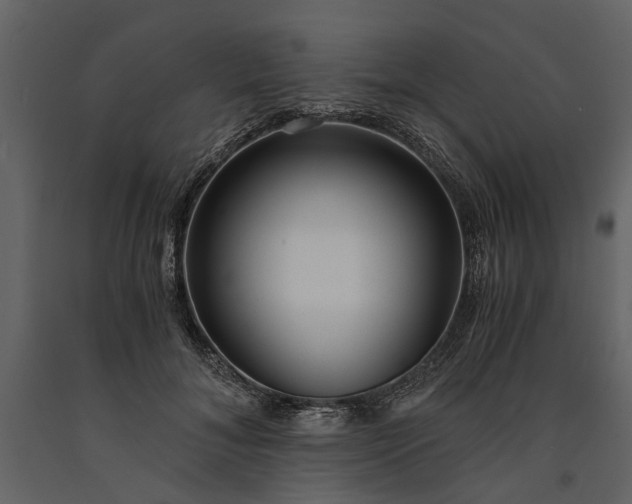 X0000091180700200708231529
