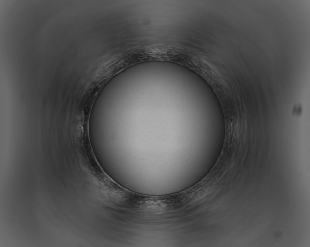 X0000091180702200708231529