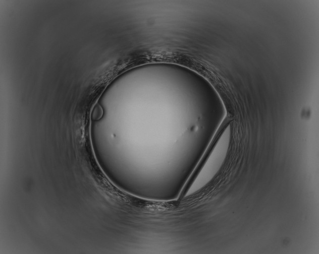 X0000091180703200708231529