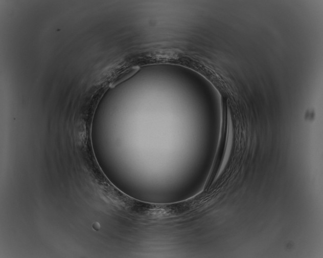X0000091180704200708231529