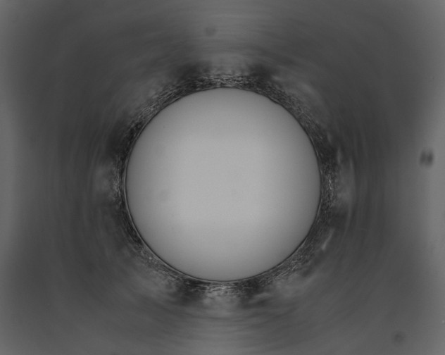 X0000091180705200708231529