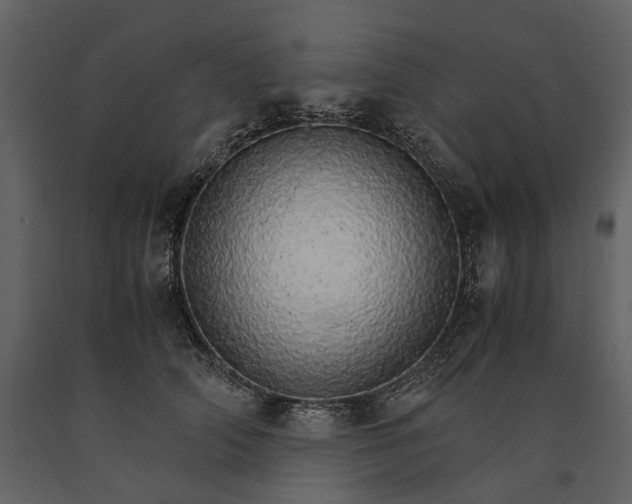 X0000091180706200708231529