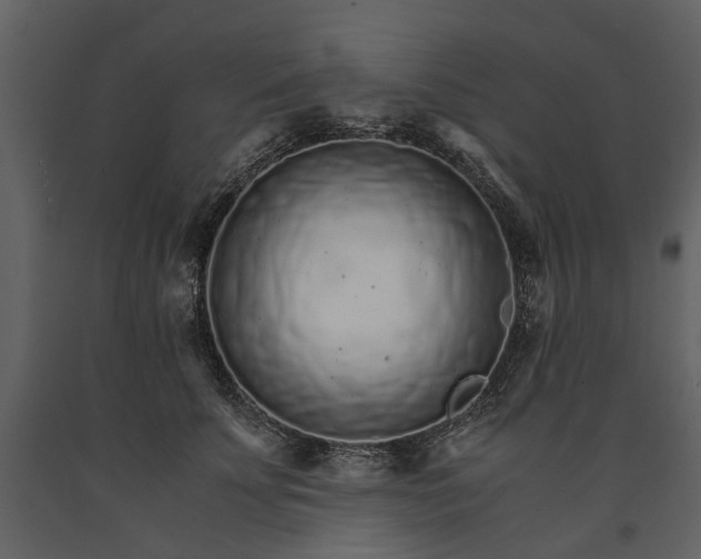 X0000091180707200708231529