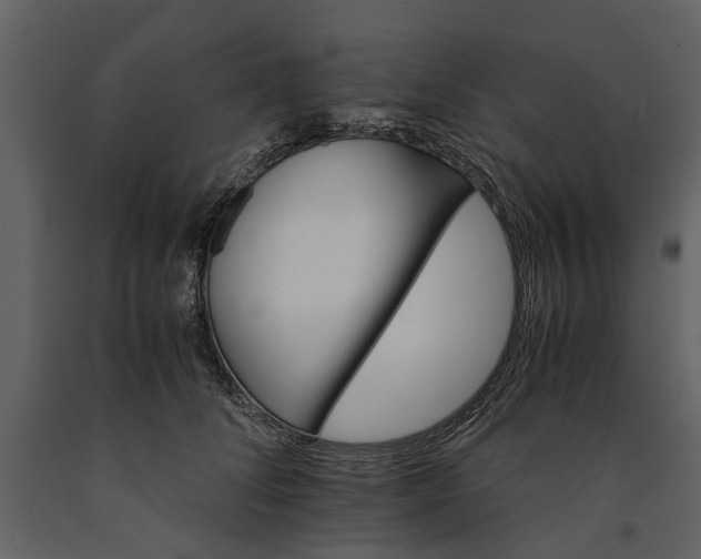 X0000091180708200708231529