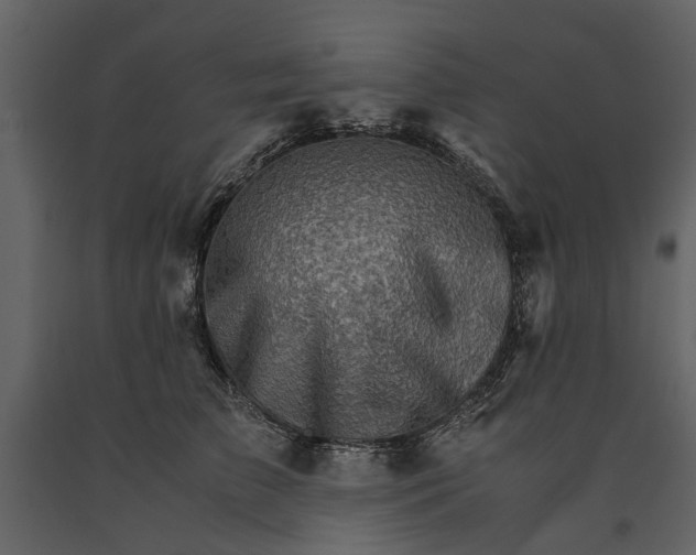 X0000091180709200708231529