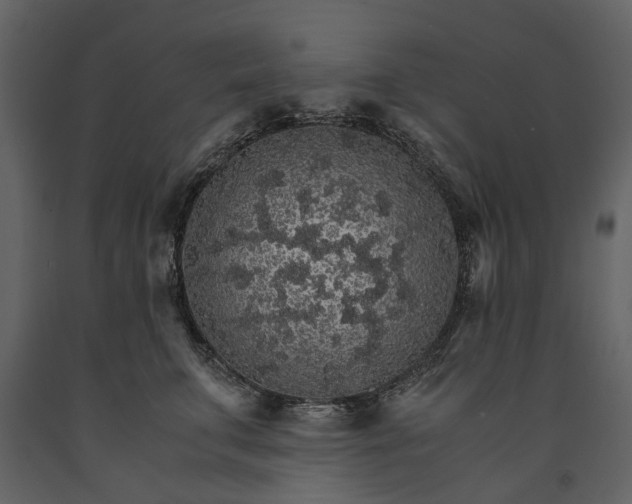 X0000091180711200708231529