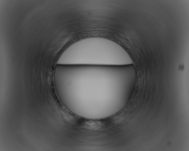 X0000091180712200708231529