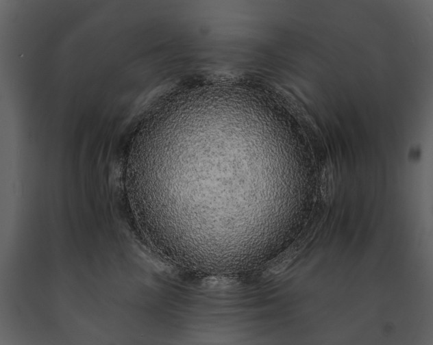 X0000091180714200708231529