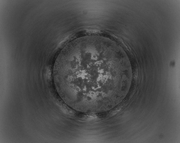 X0000091180715200708231529