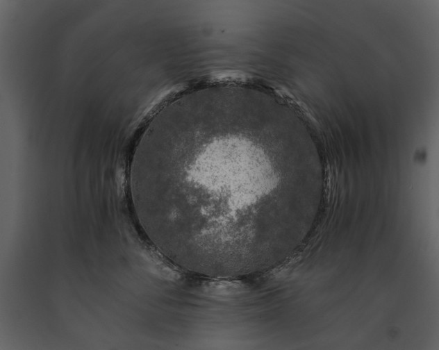 X0000091180716200708231529