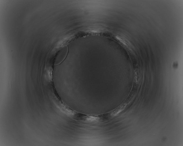 X0000091180718200708231529