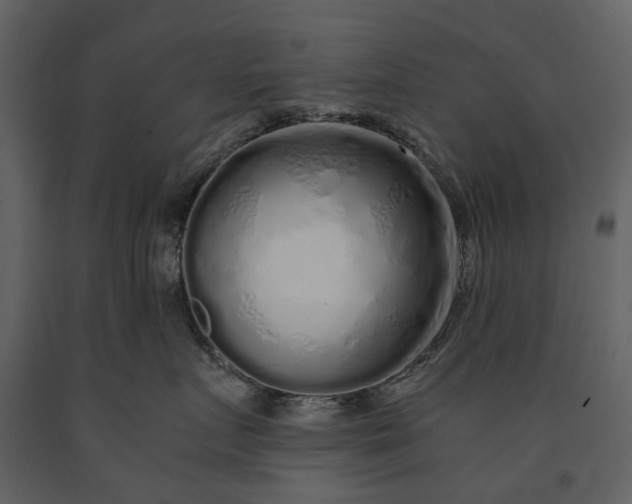 X0000091180719200708231529