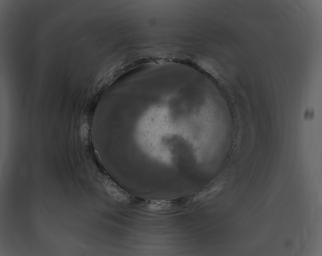 X0000091180720200708231529