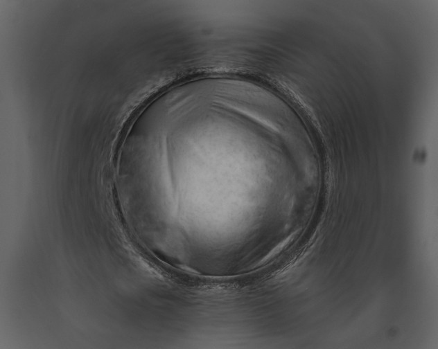 X0000091180721200708231528