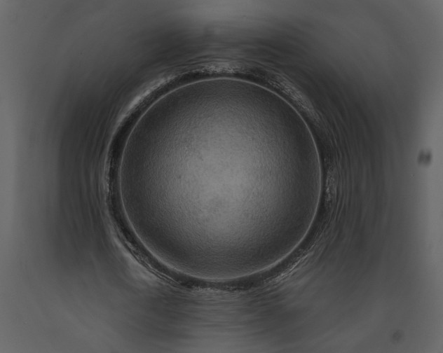 X0000091180722200708231528