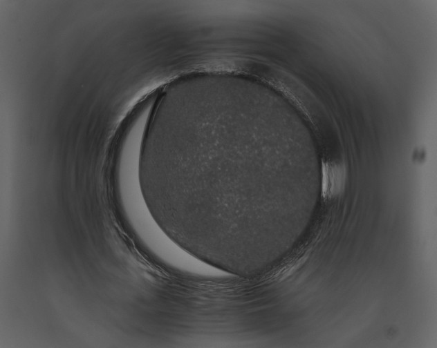 X0000091180723200708231528