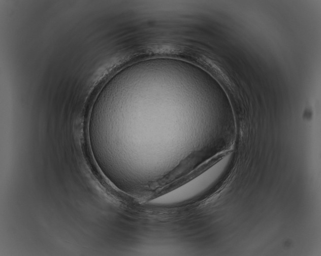 X0000091180725200708231528
