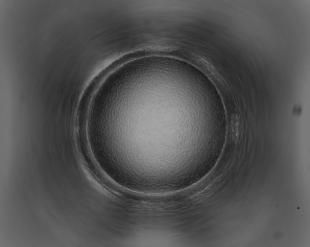 X0000091180726200708231528