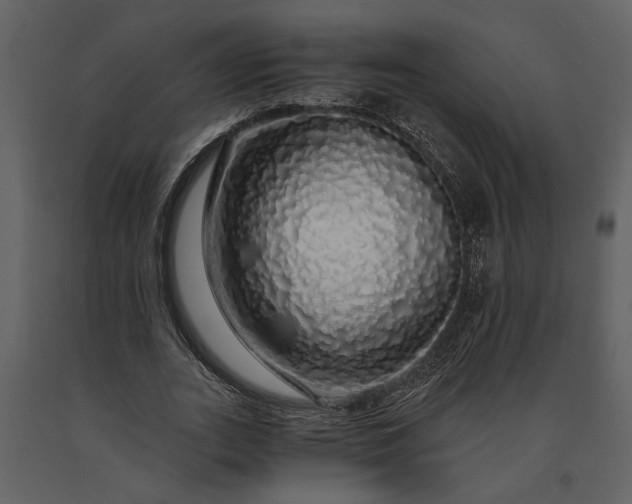 X0000091180727200708231528