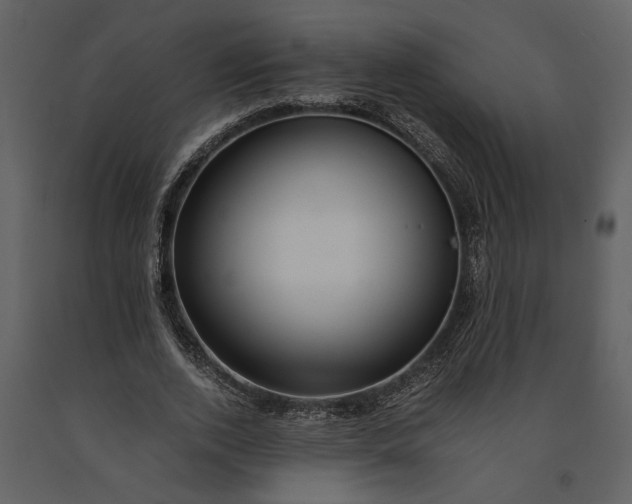 X0000091180728200708231528