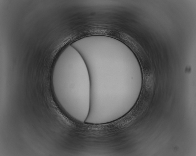 X0000091180729200708231528