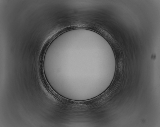 X0000091180730200708231528