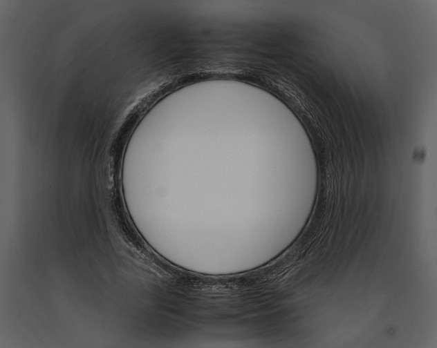 X0000091180731200708231528