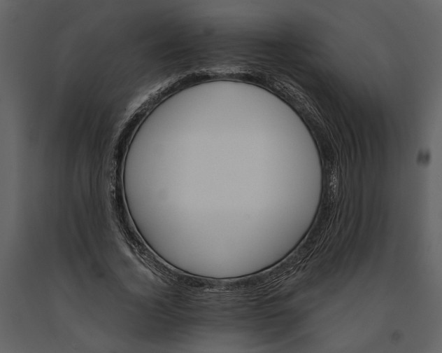 X0000091180732200708231528