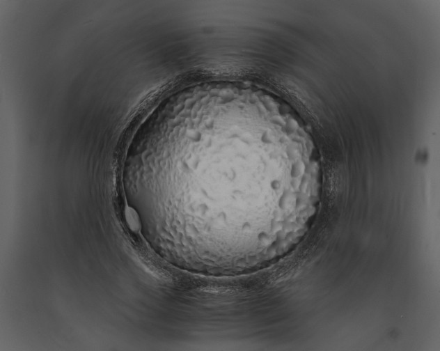 X0000091180733200708231528