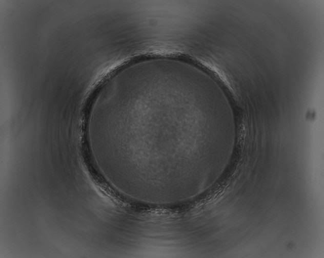 X0000091180736200708231528