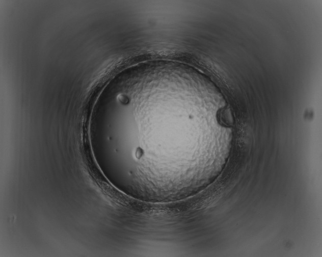X0000091180738200708231528
