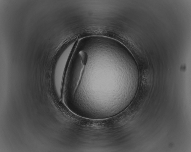 X0000091180739200708231528