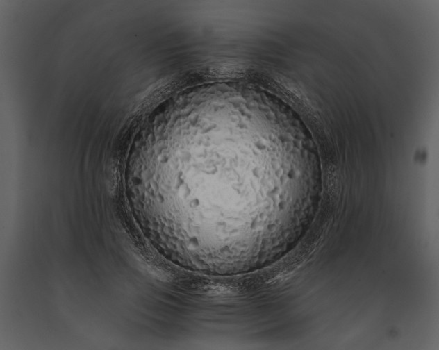 X0000091180741200708231528