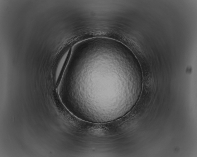 X0000091180743200708231528