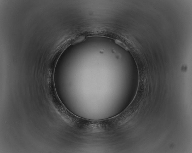 X0000091180744200708231528
